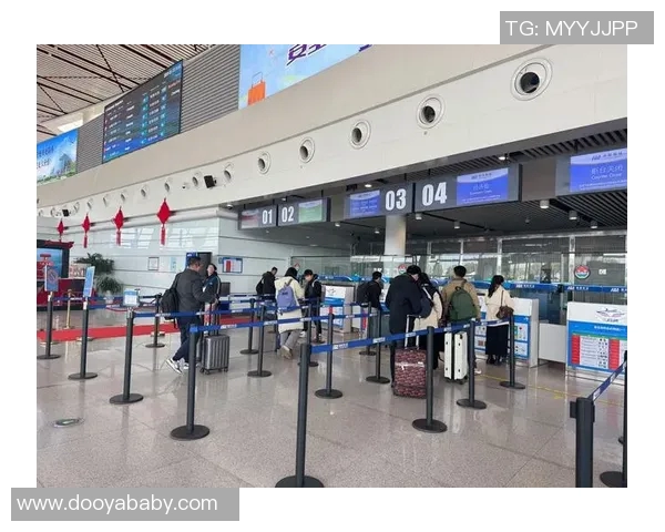 南京排球队创历史新高排球速度排名再创新高峰