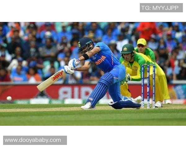 杭州篮球队在世界杯征程中的拼搏与荣耀之路