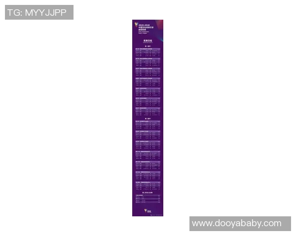 深圳羽毛球队与武汉羽毛球队赛后复盘分析及比赛经验总结